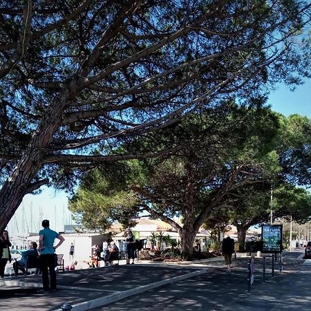 Le Jardin De La Plage - Linges Inclus La Londe-les-Maures Dış mekan fotoğraf