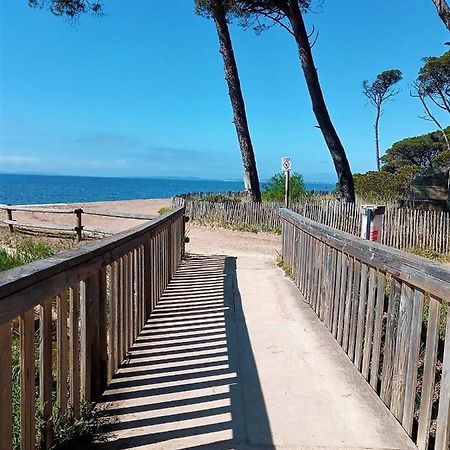 Le Jardin De La Plage - Linges Inclus La Londe-les-Maures Dış mekan fotoğraf