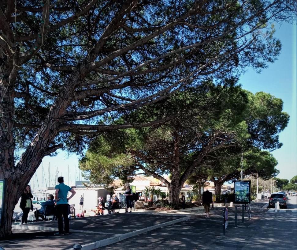 Le Jardin De La Plage - Linges Inclus La Londe-les-Maures Dış mekan fotoğraf